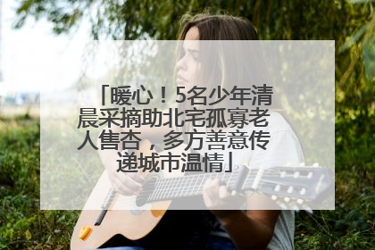 暖心！5名少年清晨采摘助北宅孤寡老人售杏，多方善意传递城市温情