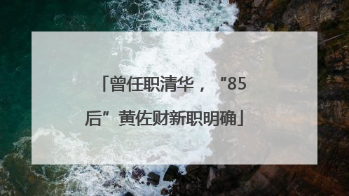 曾任职清华，“85后”黄佐财新职明确
