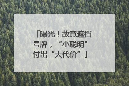 曝光！故意遮挡号牌，“小聪明”付出“大代价”