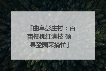 曲阜彭庄村：百亩樱桃红满枝 硕果盈园采摘忙