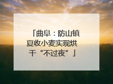 曲阜：防山镇夏收小麦实现烘干“不过夜”