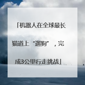 机器人在全球最长猫道上“遛狗”，完成3公里行走挑战