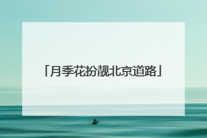 月季花扮靓北京道路