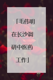 毛伟明在长沙调研中医药工作