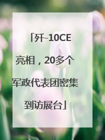 歼-10CE亮相，20多个军政代表团密集到访展台