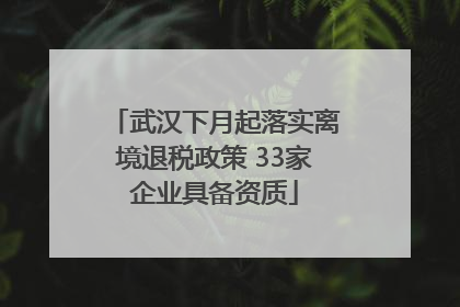 武汉下月起落实离境退税政策 33家企业具备资质
