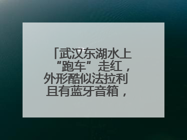 武汉东湖水上“跑车”走红，外形酷似法拉利且有蓝牙音箱，负责人：高峰期一两百人排队
