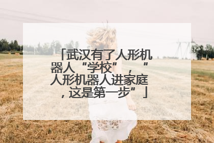 武汉有了人形机器人“学校”，“人形机器人进家庭，这是第一步”