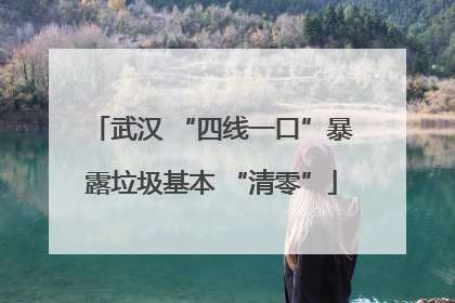 武汉 “四线一口”暴露垃圾基本 “清零”