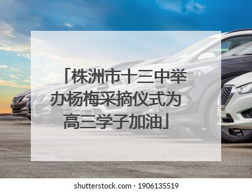 株洲市十三中举办杨梅采摘仪式为高三学子加油