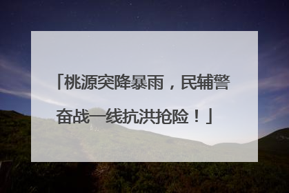 桃源突降暴雨，民辅警奋战一线抗洪抢险！