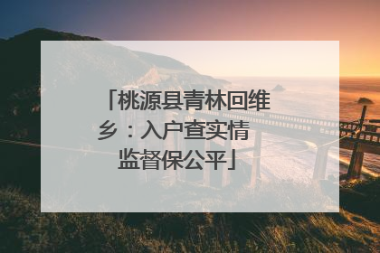 桃源县青林回维乡：入户查实情 监督保公平