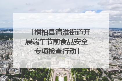 桐柏县清淮街道开展端午节前食品安全专项检查行动