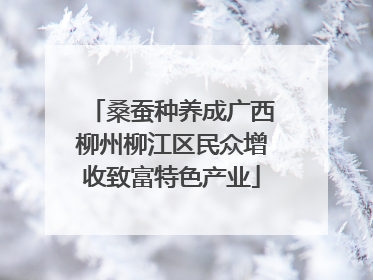 桑蚕种养成广西柳州柳江区民众增收致富特色产业
