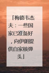 梅德韦杰夫：一些国家已准备好，向伊朗提供自家核弹头