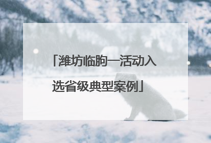 潍坊临朐一活动入选省级典型案例