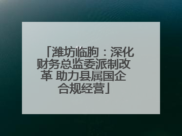 潍坊临朐：深化财务总监委派制改革 助力县属国企合规经营