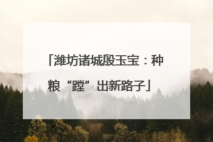 潍坊诸城殷玉宝：种粮“蹚”出新路子