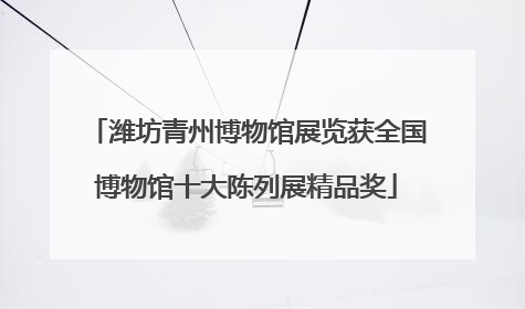 潍坊青州博物馆展览获全国博物馆十大陈列展精品奖