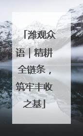 潍观众语｜精耕全链条，筑牢丰收之基