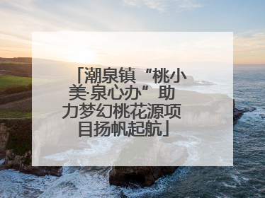 潮泉镇“桃小美·泉心办”助力梦幻桃花源项目扬帆起航