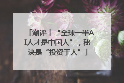 潮评丨“全球一半AI人才是中国人”，秘诀是“投资于人”