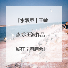 水双重｜王敏杰·余王波作品展在宁海启幕
