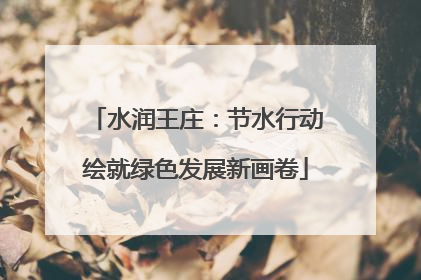 水润王庄:节水行动绘就绿色发展新画卷