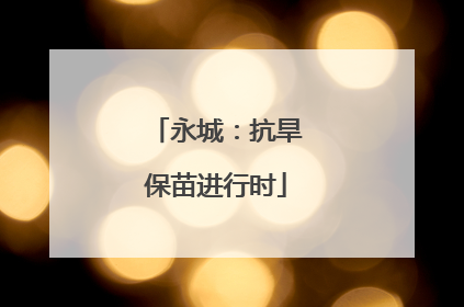 永城：抗旱保苗进行时