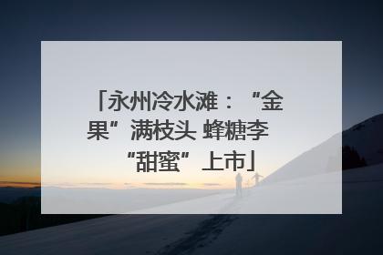 永州冷水滩：“金果”满枝头 蜂糖李“甜蜜”上市