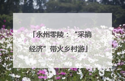 永州零陵：“采摘经济”带火乡村游