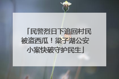 民警烈日下追回村民被盗西瓜！梁子湖公安小案快破守护民生