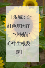 汝城：让红色基因在“小树苗”心中生根发芽
