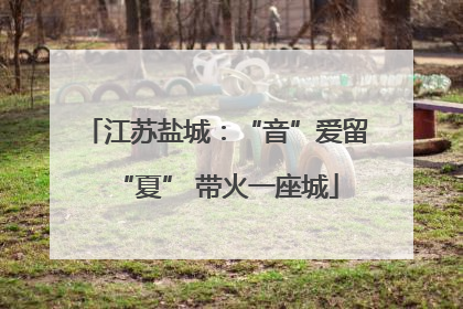 江苏盐城：“音”爱留“夏” 带火一座城