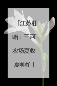 江苏盱眙：三河农场夏收夏种忙