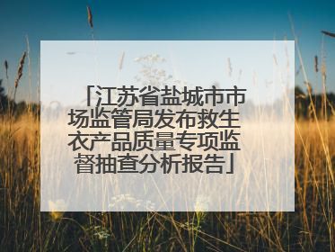 江苏省盐城市市场监管局发布救生衣产品质量专项监督抽查分析报告