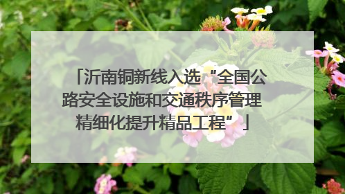 沂南铜新线入选“全国公路安全设施和交通秩序管理精细化提升精品工程”
