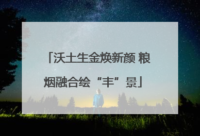 沃土生金焕新颜 粮烟融合绘“丰”景