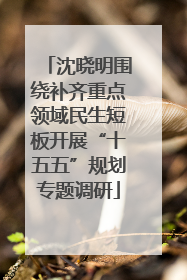 沈晓明围绕补齐重点领域民生短板开展“十五五”规划专题调研