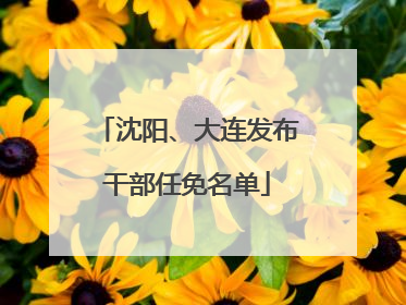 沈阳、大连发布干部任免名单