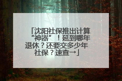沈阳社保推出计算“神器”！延到哪年退休？还要交多少年社保？速查→