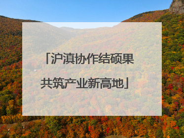 沪滇协作结硕果 共筑产业新高地
