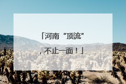 河南“顶流”，不止一面！