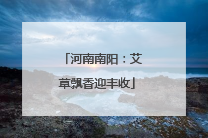 河南南阳：艾草飘香迎丰收
