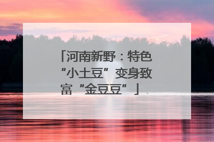 河南新野：特色“小土豆”变身致富“金豆豆”