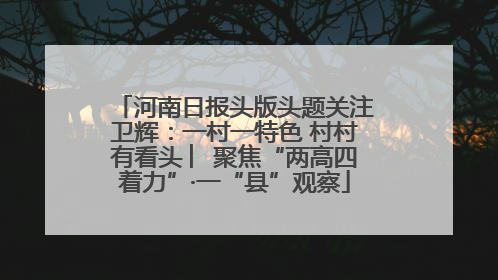 河南日报头版头题关注卫辉：一村一特色 村村有看头 ︳聚焦“两高四着力”·一“县”观察