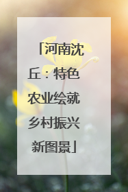 河南沈丘：特色农业绘就乡村振兴新图景