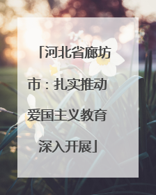 河北省廊坊市：扎实推动爱国主义教育深入开展
