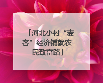 河北小村“麦客”经济铺就农民致富路