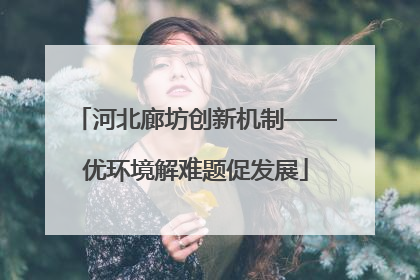 河北廊坊创新机制——优环境解难题促发展